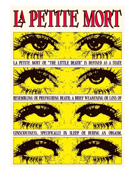 La Petite Ba C Da C Tha Que Des Savoirs Tome 24 C