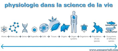 la physiologie