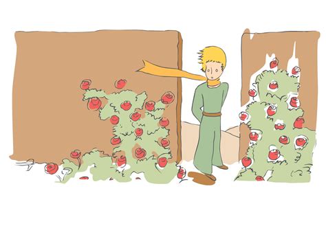 La Rose Dans Le Petit Prince