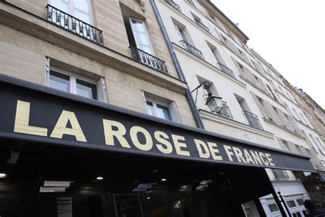 la rose de france