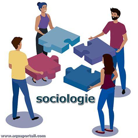la sociologie