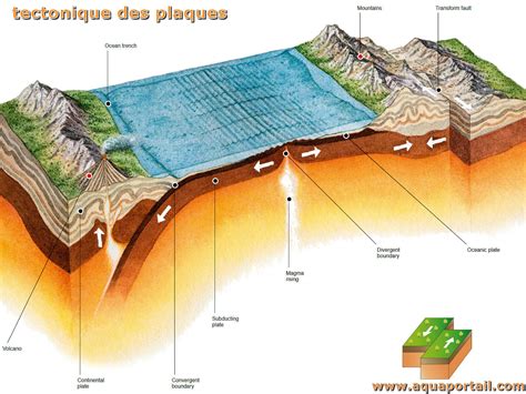 La Tectonique Des Plaques