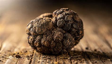 la truffe