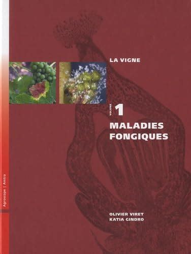la vigne volume 1 maladies fongiques