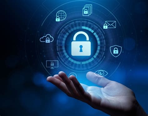 Read Online La Sicurezza Informatica 