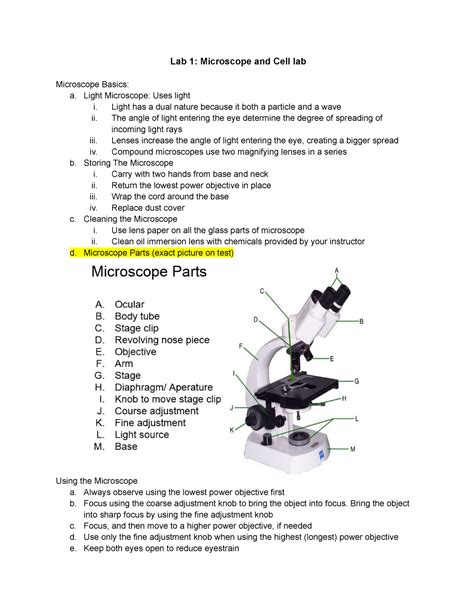 Lab 1 The Microscopic World Biology Libretexts The Microscope Worksheet - The Microscope Worksheet