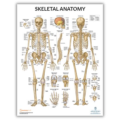 Lab 1 The Skeleton