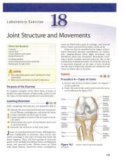 Lab 19 Joint Structure And Movements