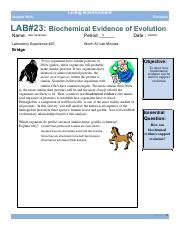 Lab 23 Evidence Of Evolution Answer Key