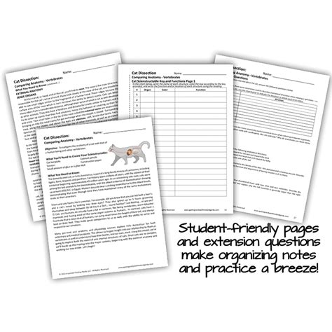 lab 54 cat dissection answers