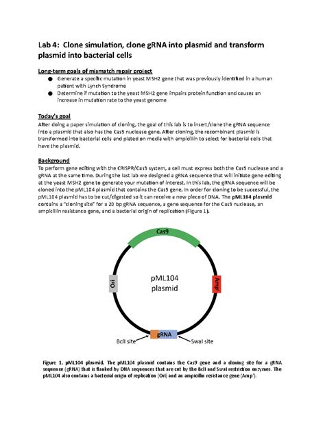 Lab Cloning Paper Plasmid
