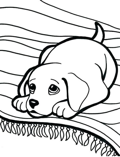 Lab Coloring Pages At Getcolorings Com Free Printable Black Lab Coloring Page - Black Lab Coloring Page