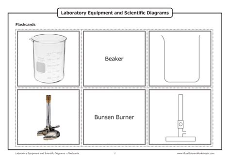 Lab Equipment Teaching Resources Tpt Csi Florence Worksheet Answers - Csi Florence Worksheet Answers