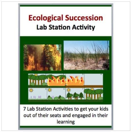Lab Stations Exploring Ecological Succession