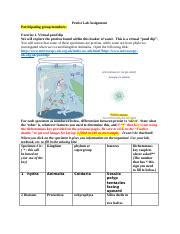 Lab Topic 14 Protists And Fungi Answers