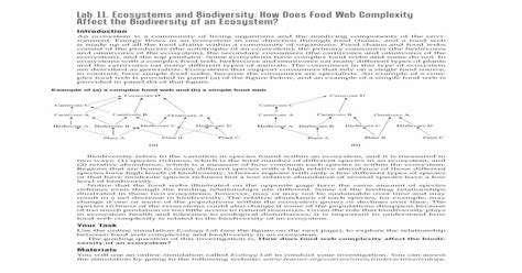Read Online Lab 11 Ecosystems And Biodiversity How Does Food Web 