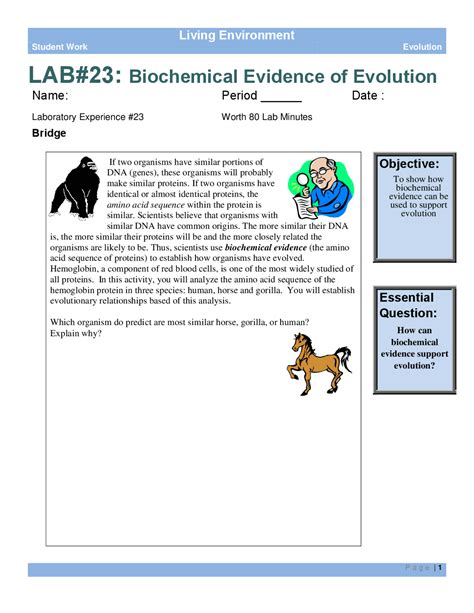 Full Download Lab 23 Evidence Of Evolution Answer Key 