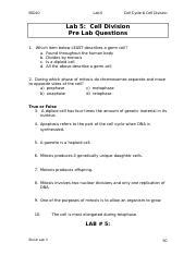 Download Lab 5 Cell Division Pre Lab Test 