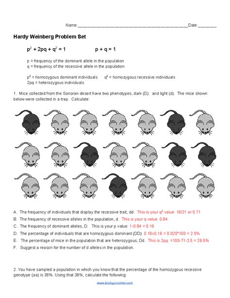 Full Download Lab 8 Hardy Weinberg Problems Answers 