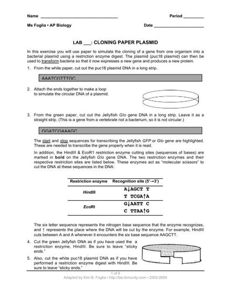 Read Lab Cloning Paper Plasmid Answers 