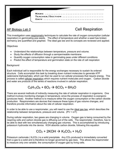 Download Lab Five Cell Respiration Answers 