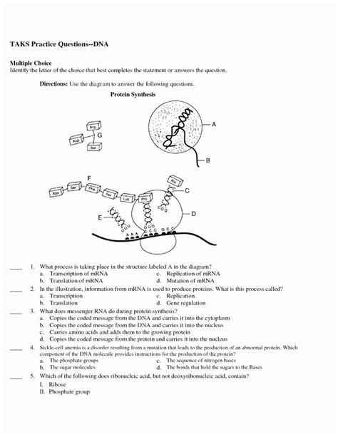 Full Download Lab From Dna To Protein Synthesis Answers 