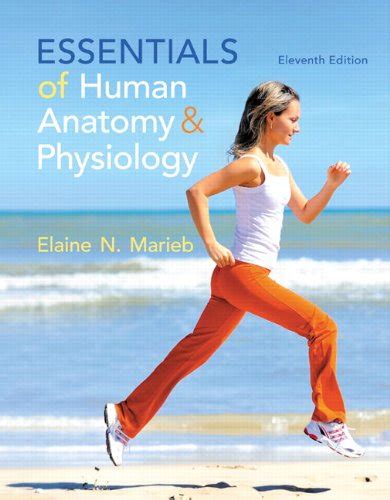 Full Download Lab Manual Anatomy Physiology 11Th Edition Marieb 