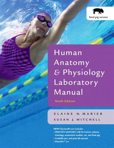 Full Download Lab Manual Anatomy Physiology Marieb Pig Edition 