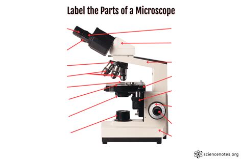 Label A Microscope
