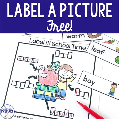 Label A Picture Free Clearly Primary Kindergarten Labeling - Kindergarten Labeling