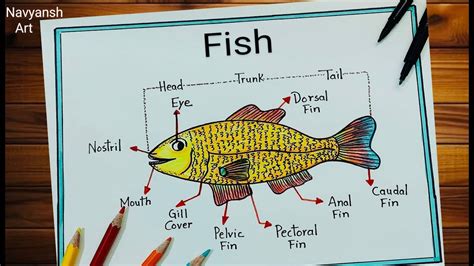 Label Fish Diagram