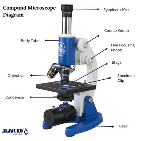 Label Of A Compound Microscope