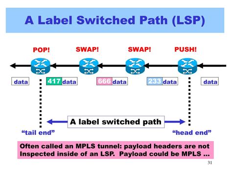 Label Switched Path