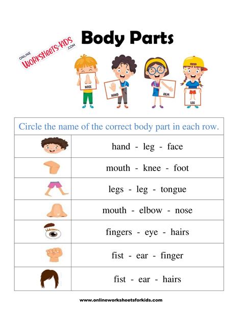 Label The Body Parts Interactive Worksheet Education Com Label The Parts Of The Body - Label The Parts Of The Body