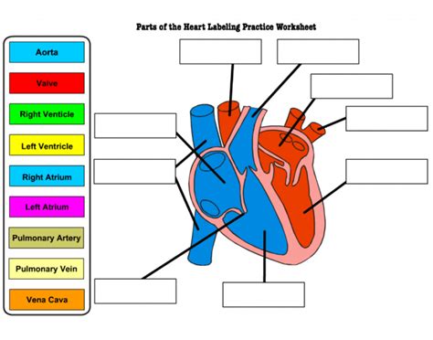Label The Heart Diagram Quiz Purposegames Label Heart Diagram Worksheet - Label Heart Diagram Worksheet