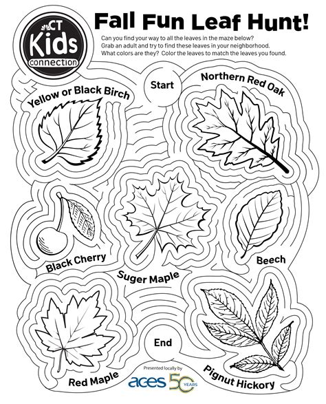 Label The Picture Worksheets For Fall Mamas Learning Kindergarten Labeling Worksheets - Kindergarten Labeling Worksheets