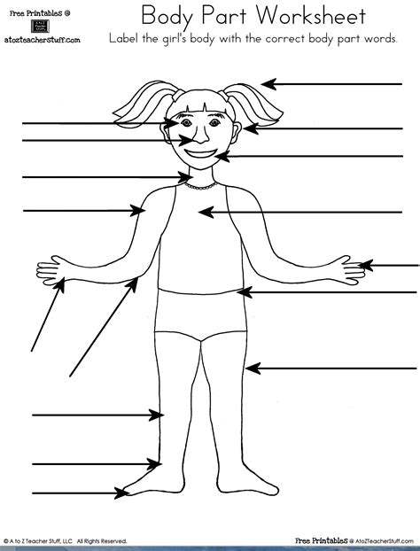 Labeling Body Parts Worksheet   Label The Body Parts Worksheet Science Primary Learning - Labeling Body Parts Worksheet