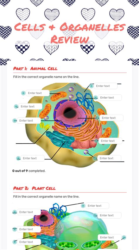Labeling Cell Organelles Worksheet   Cell Organelle Worksheets With Answers Science Resources Twinkl - Labeling Cell Organelles Worksheet