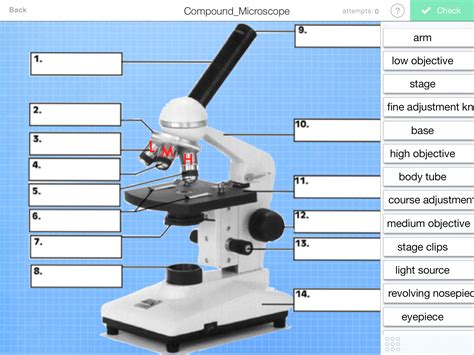 Labeling The Parts Of The Microscope Microscope World The Microscope Worksheet - The Microscope Worksheet