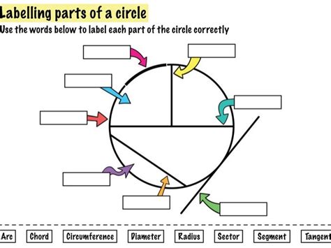 Labelling A Circle Starter Activity Teaching Resources Label Circle Parts Worksheet Answers - Label Circle Parts Worksheet Answers