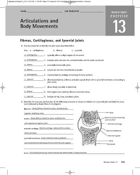 laboratory exercise 17 the joints answers