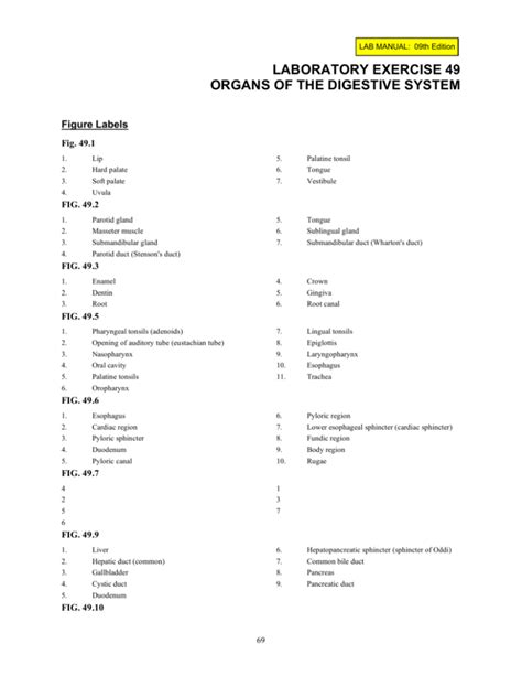Laboratory Exercise 49 Organs Of The Digestive System