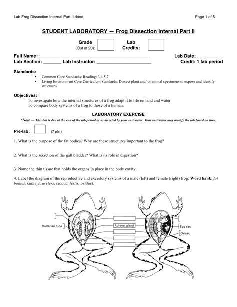 laboratory investigation 33a frog dissection