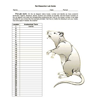 laboratory rat dissection answer sheet