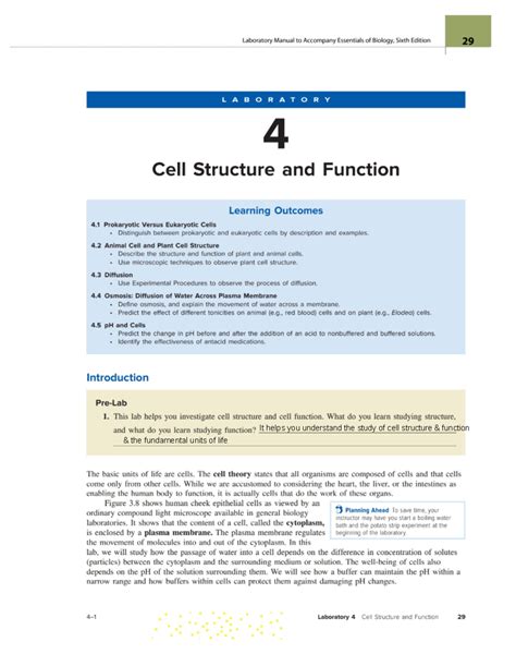 Read Laboratory 4 Cell Structure And Function 