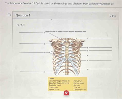 Read Laboratory Exercise 15 Answers 