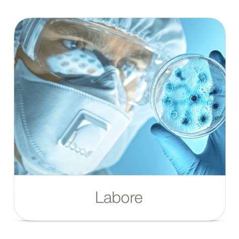 labore-4