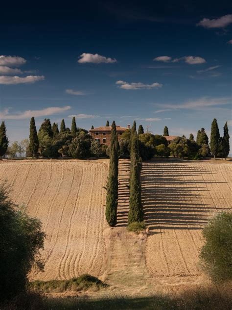 Instagram post by Maci Rippin #7