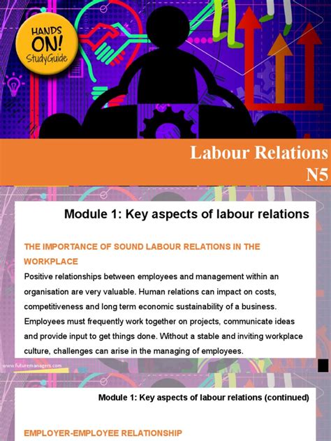 Labour Relation N5 Papers