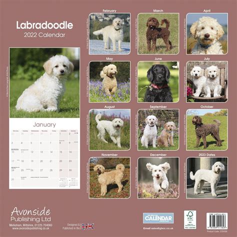 Read Labradoodle Calendar Dog Breed Calendars 2017 2018 Wall Calendars 16 Month By Avonside 